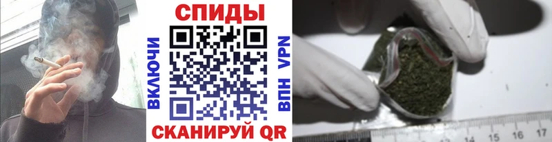 Бутират буратино как найти закладки Заводоуковск