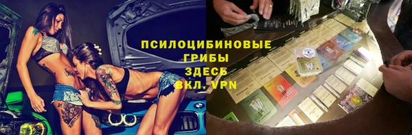 эйфоретик Баксан
