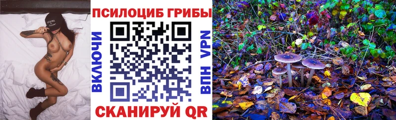 мориарти формула Заводоуковск Псилоцибиновые грибы Cubensis ОМГ ОМГ ССЫЛКА